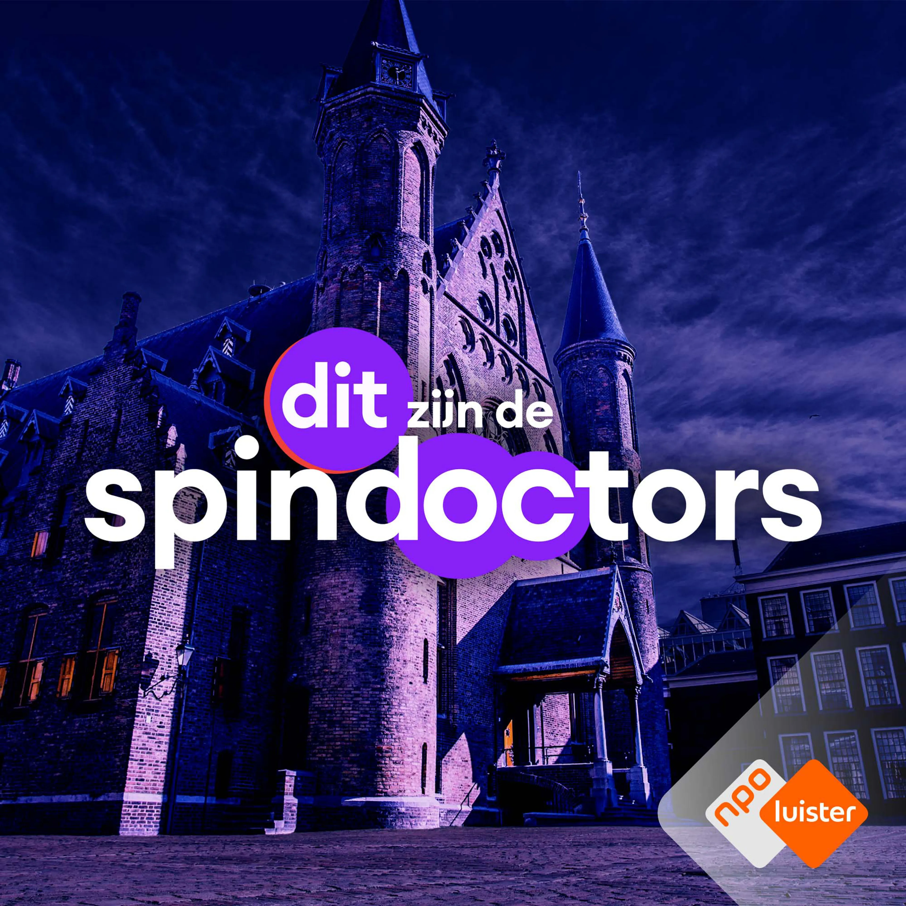 Logo van Dit zijn De Spindoctors.