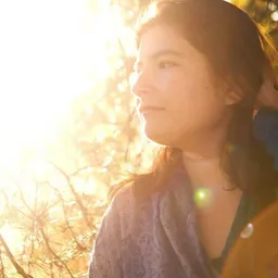 Afbeelding van PhOEbeTRY