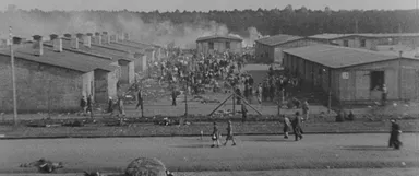 EOdoc: What they found in Bergen-Belsen