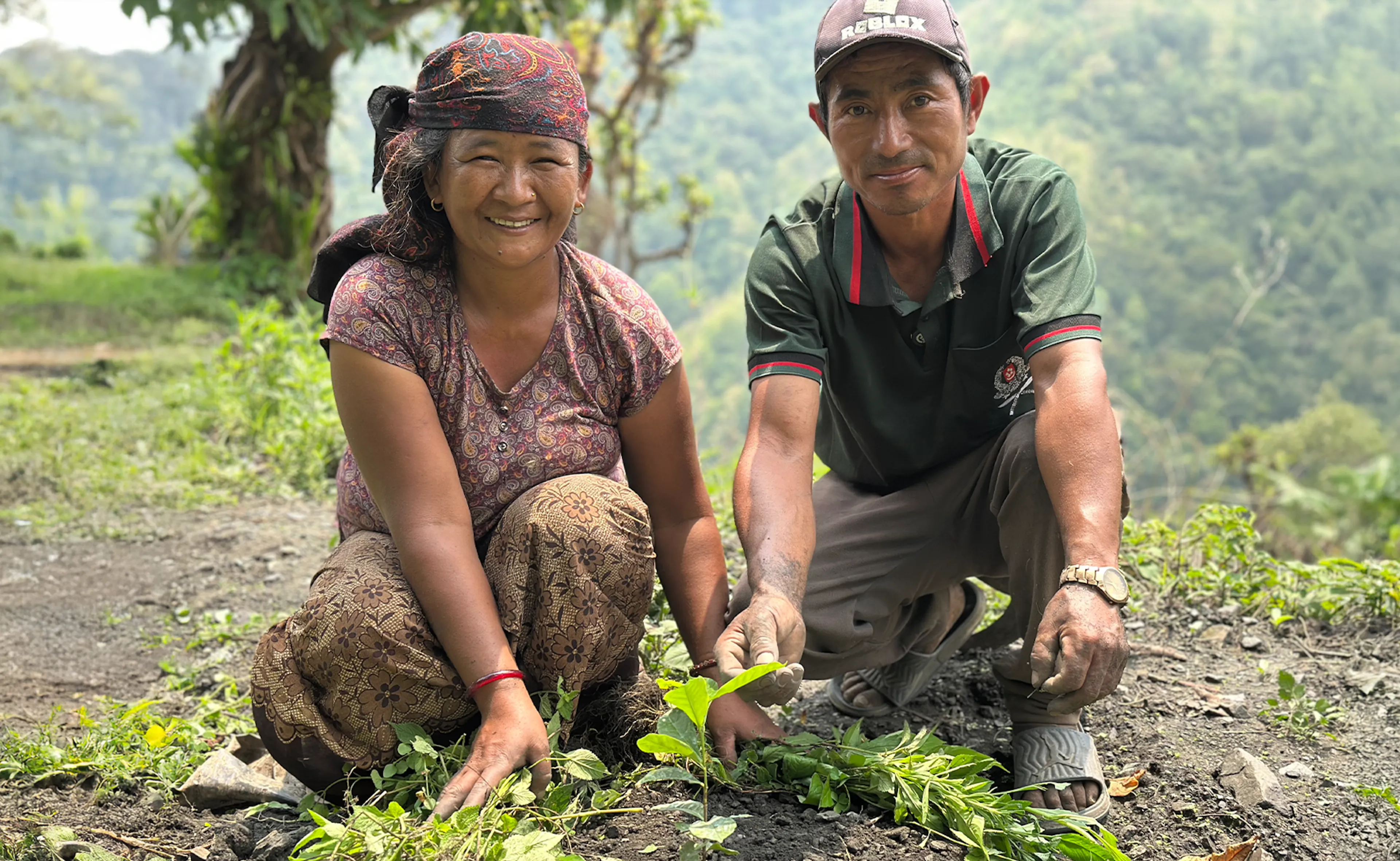 Werk en inkomen in de bergdorpjes van Nepal