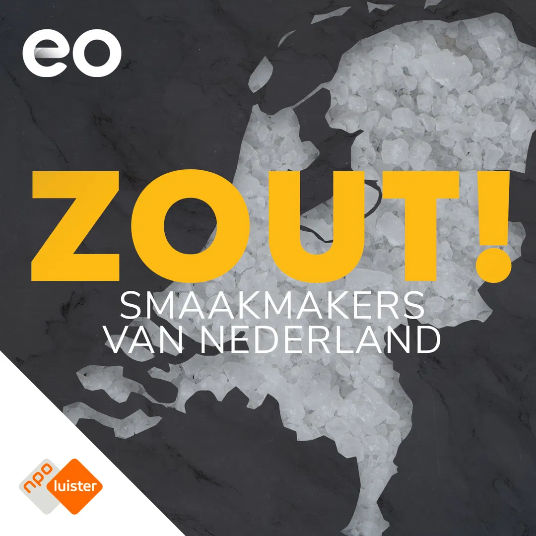 logo van ZOUT!