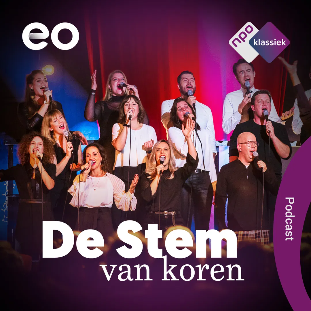 logo van De Stem