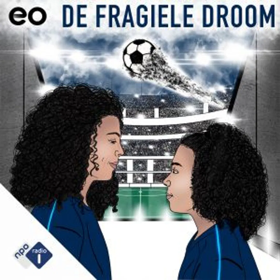 logo van De Fragiele Droom