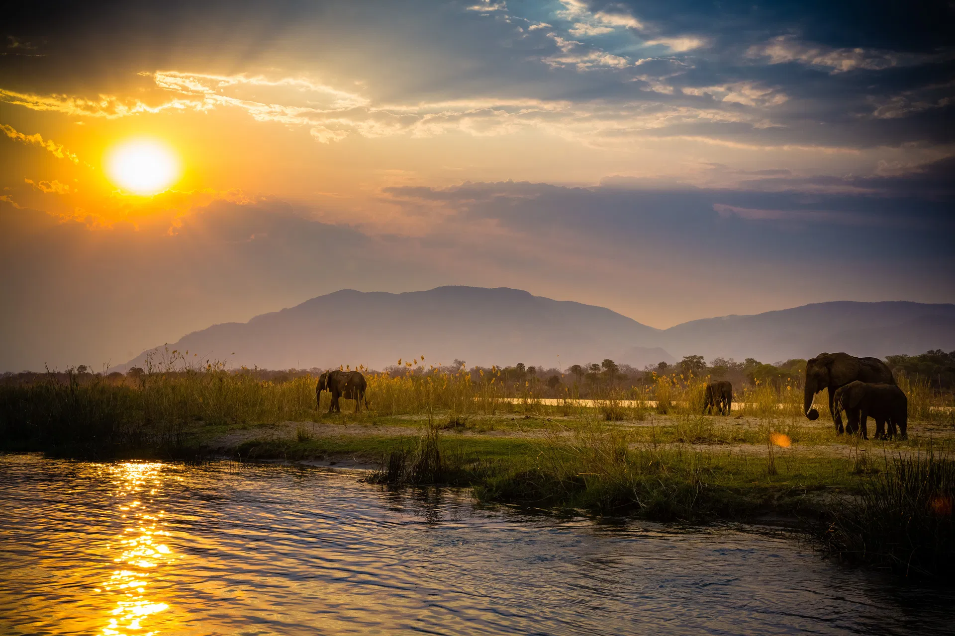 Earth's great rivers