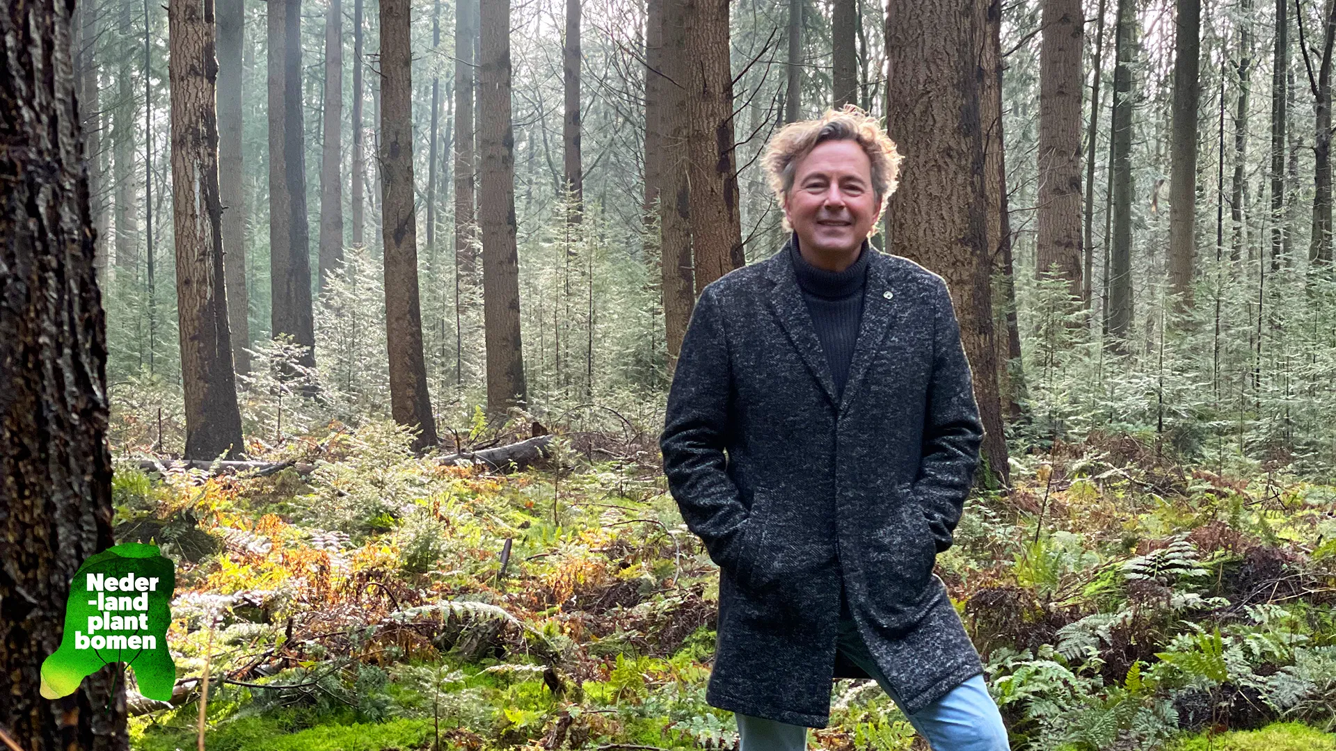 Nederland plant bomen