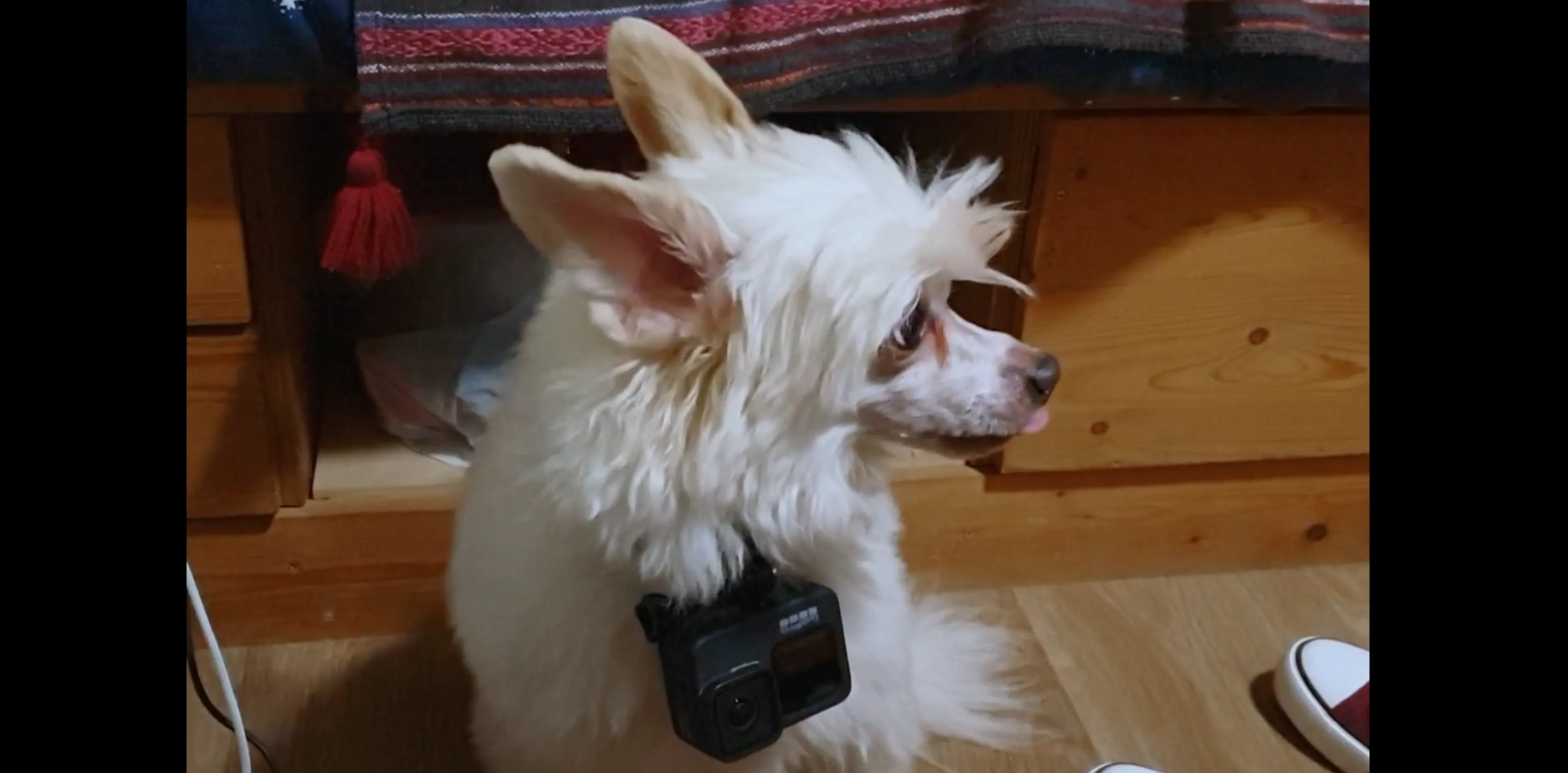 EOdoc Kort: And a happy new year