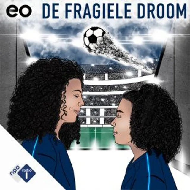De Fragiele Droom