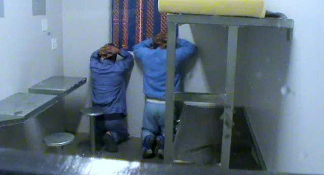 EOdoc: Prison for profit