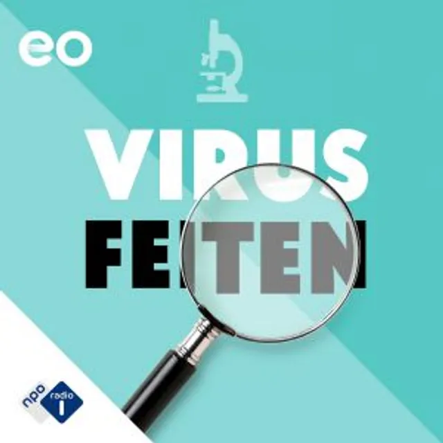 Virusfeiten