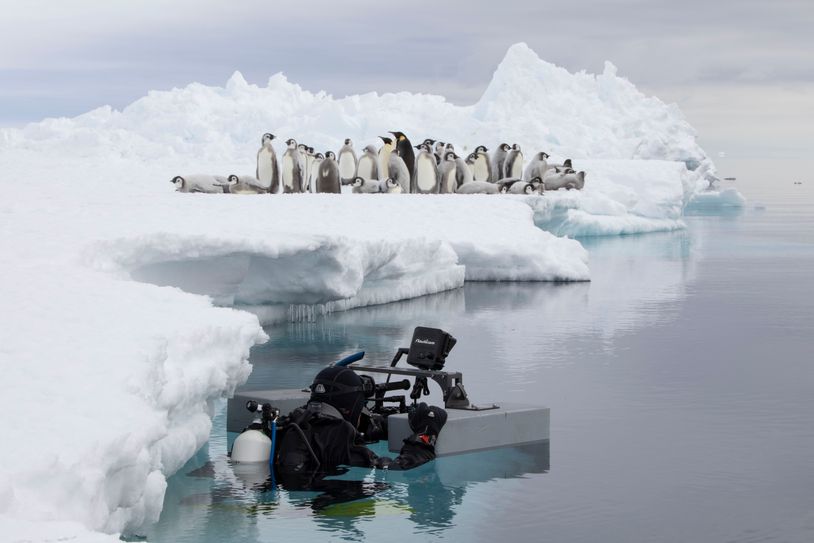 The making of Frozen Planet II
