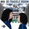 De Fragiele Droom